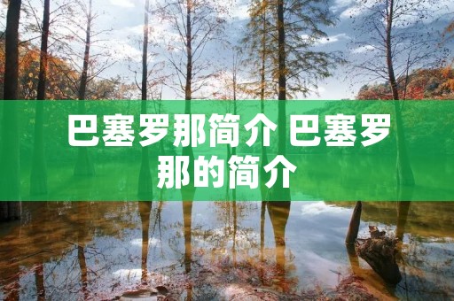 巴塞罗那简介 巴塞罗那的简介
