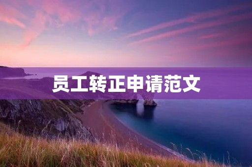 员工转正申请范文
