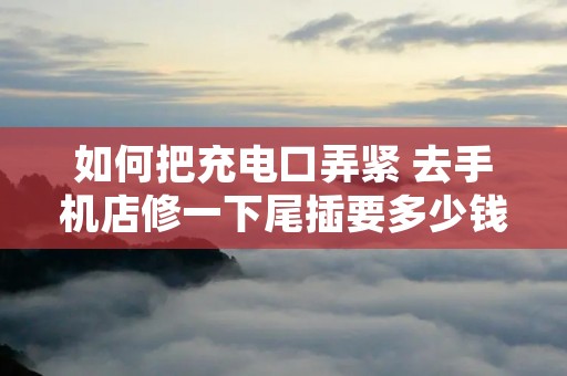如何把充电口弄紧 去手机店修一下尾插要多少钱