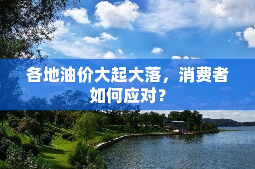 各地油价大起大落,消费者如何应对? 各地油价大起大落,消费者如何应对?