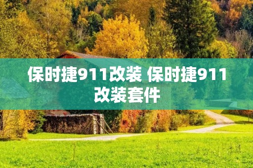 保时捷911改装 保时捷911改装套件