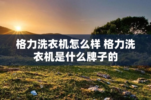 格力洗衣机怎么样 格力洗衣机是什么牌子的