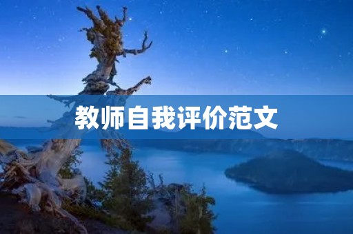 教师自我评价范文:打造专业化的教学风范