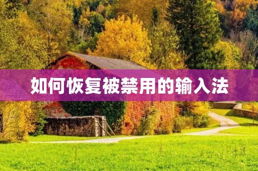 如何恢复被禁用的输入法