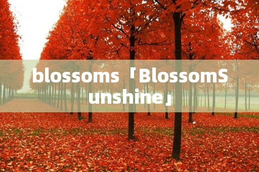 blossoms「BlossomSunshine」 blossoms「BlossomSunshine」