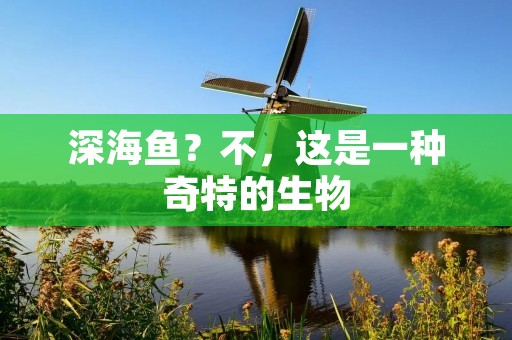 深海鱼?不,这是一种奇特的生物
