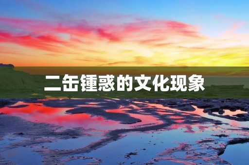 二缶锺惑的文化现象 二缶锺惑的文化现象