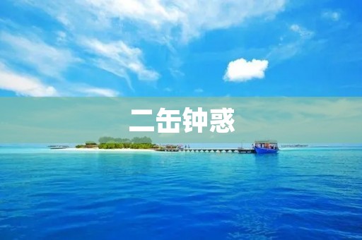 二缶钟惑:探寻古代钟表制造技术的奥秘 二缶钟惑:探寻古代钟表制造技术的奥秘