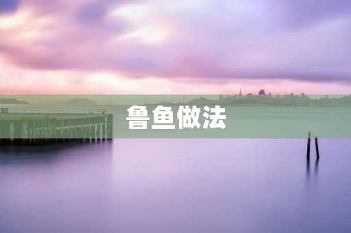 鲁鱼做法：传统美味的烹饪方法