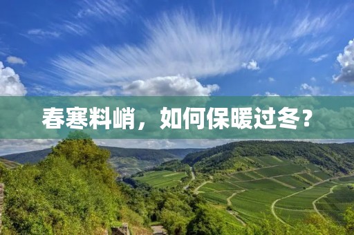 春寒料峭,如何保暖过冬?
