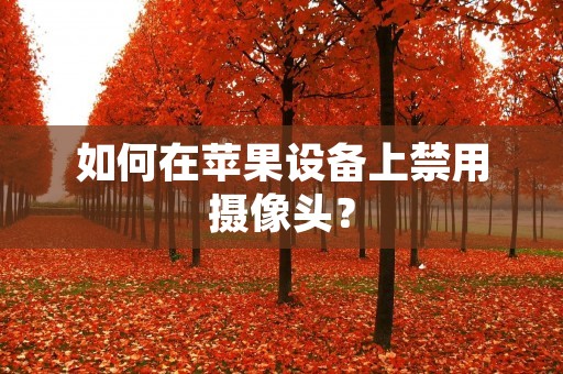 如何在苹果设备上禁用摄像头? 如何在苹果设备上禁用摄像头?