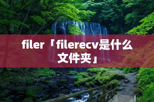 filer「filerecv是什么文件夹」 filer「filerecv是什么文件夹」