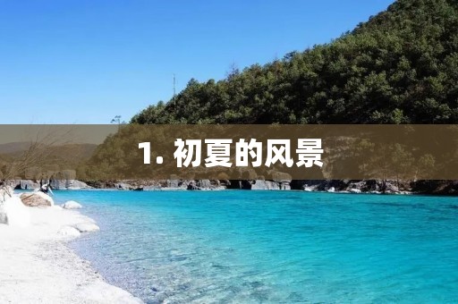 1. 初夏的风景