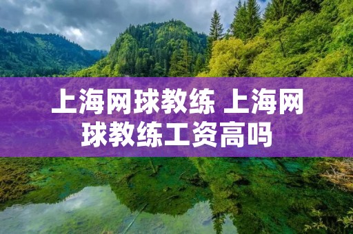 上海网球教练 上海网球教练工资高吗