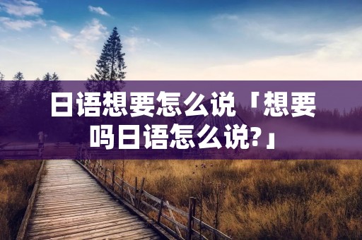 日语想要怎么说「想要吗日语怎么说?」 日语想要怎么说「想要吗日语怎么说?」