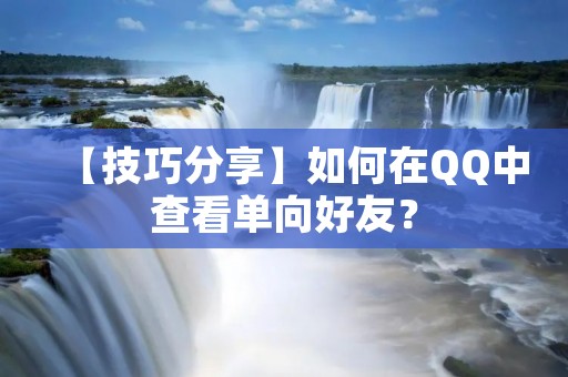 【技巧分享】如何在QQ中查看单向好友？