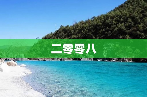 二零零八：中国经济的巨大挑战与机遇