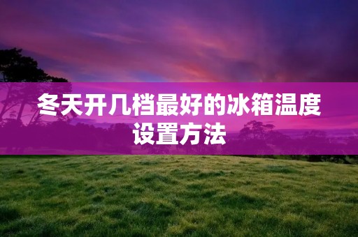 冬天开几档最好的冰箱温度设置方法 冬天开几档最好的冰箱温度设置方法