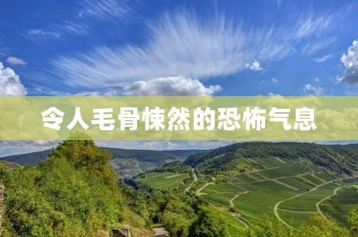令人毛骨悚然的恐怖气息