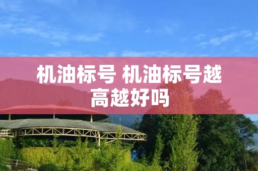 机油标号 机油标号越高越好吗 机油标号 机油标号越高越好吗