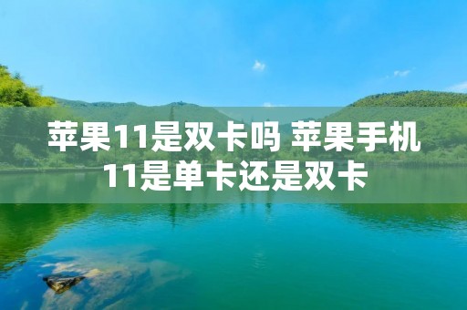 苹果11是双卡吗 苹果手机11是单卡还是双卡 苹果11是双卡吗 苹果手机11是单卡还是双卡