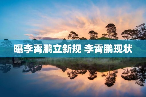 曝李霄鹏立新规 李霄鹏现状