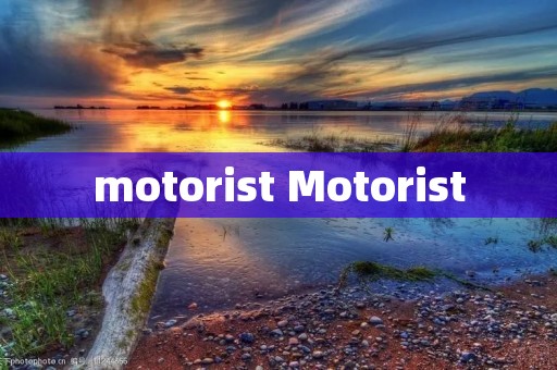 motorist Motorist