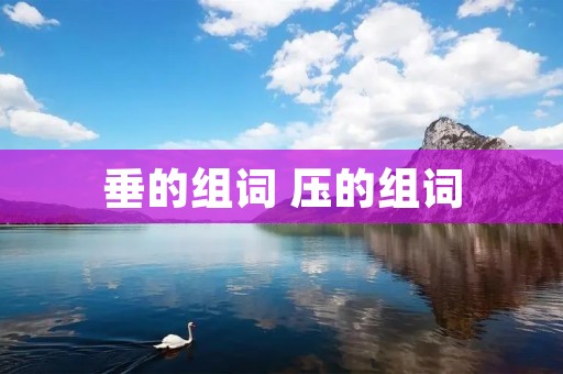 垂的组词 压的组词