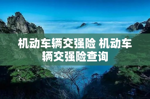 机动车辆交强险 机动车辆交强险查询 机动车辆交强险 机动车辆交强险查询