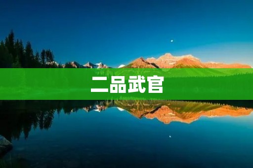 二品武官：从初入官场到崭露头角的历程
