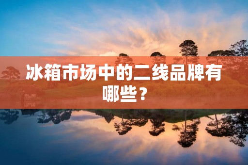 冰箱市场中的二线品牌有哪些? 冰箱市场中的二线品牌有哪些?