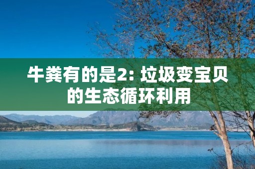 牛粪有的是2: 垃圾变宝贝的生态循环利用