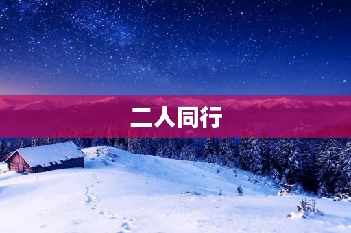 二人同行：与朋友一起探索世界