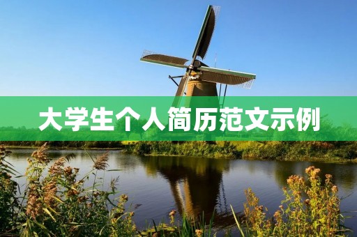 大学生个人简历范文示例