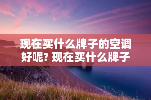 现在买什么牌子的空调好呢? 现在买什么牌子的空调比较好? 现在买什么牌子的空调好呢? 现在买什么牌子的空调比较好?
