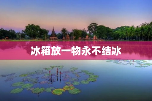 冰箱放一物永不结冰：真相揭秘