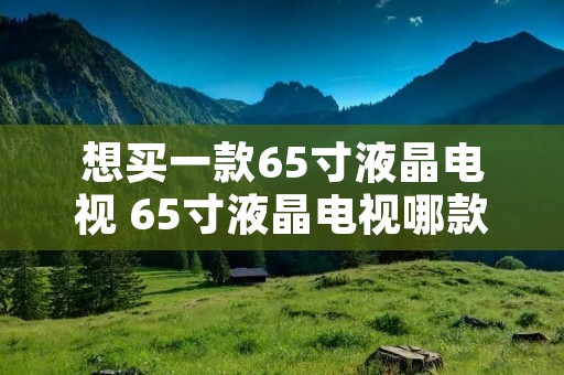 想买一款65寸液晶电视 65寸液晶电视哪款性价比高?