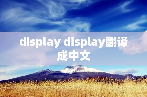display display翻译成中文