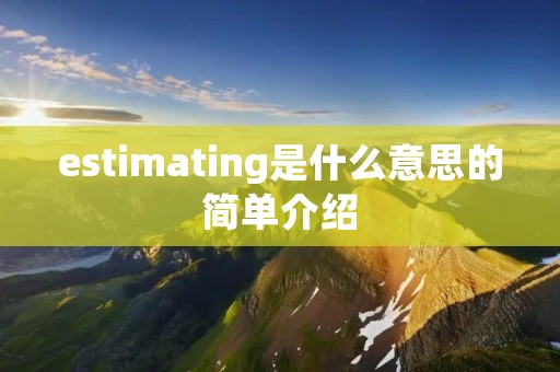 estimating是什么意思的简单介绍 estimating是什么意思的简单介绍