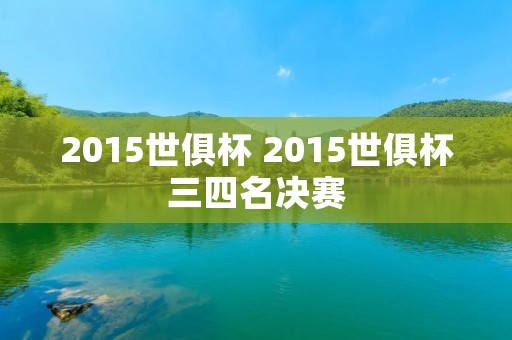 2015世俱杯 2015世俱杯三四名决赛