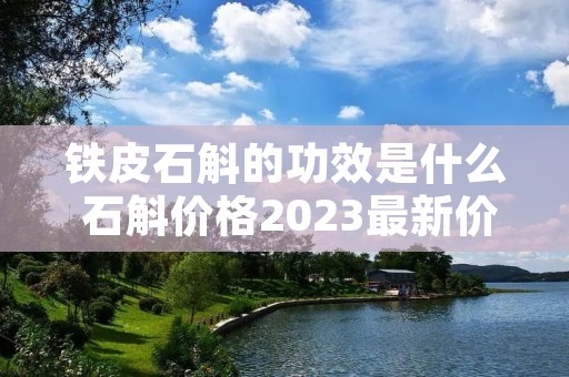 铁皮石斛的功效是什么 石斛价格2023最新价格 铁皮石斛的功效是什么 石斛价格2023最新价格