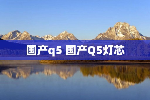 国产q5 国产Q5灯芯 国产q5 国产Q5灯芯