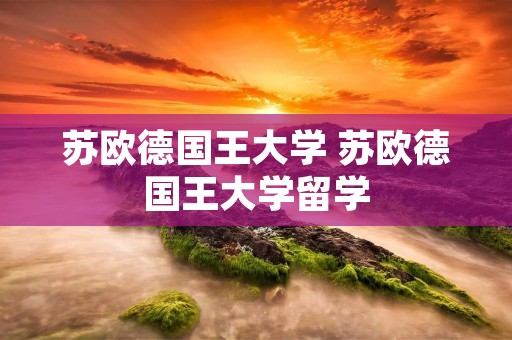 苏欧德国王大学 苏欧德国王大学留学
