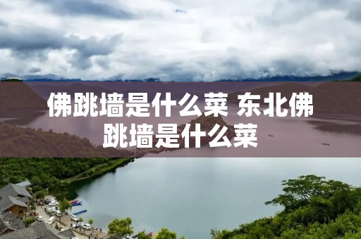 佛跳墙是什么菜 东北佛跳墙是什么菜