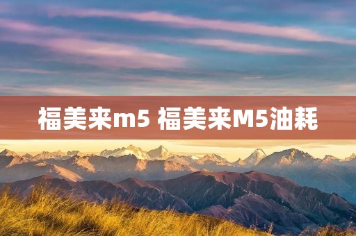 福美来m5 福美来M5油耗 福美来m5 福美来M5油耗