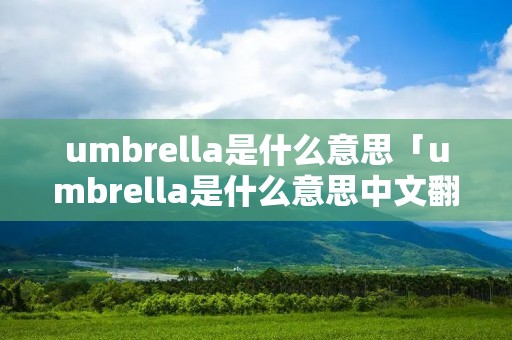 umbrella是什么意思「umbrella是什么意思中文翻译」