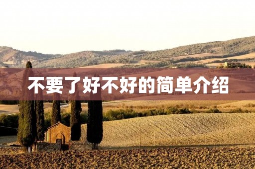 不要了好不好的简单介绍