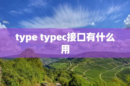 type typec接口有什么用