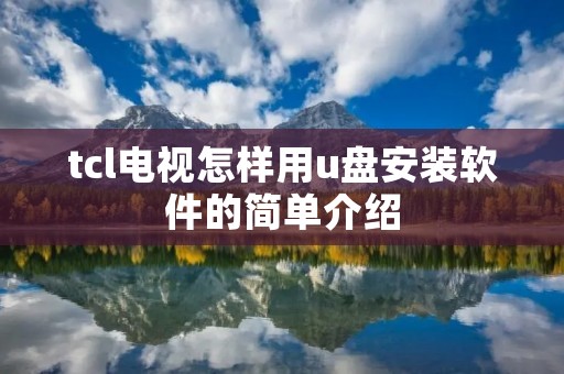 tcl电视怎样用u盘安装软件的简单介绍