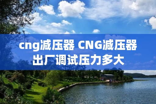 cng减压器 CNG减压器出厂调试压力多大